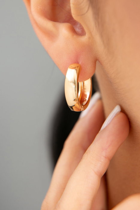 Heliophilia Silver Pendientes de Metal Dorados con Circón